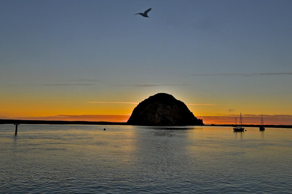 Beach Bungalow Inn And Suites Morro Bay Værelse billede