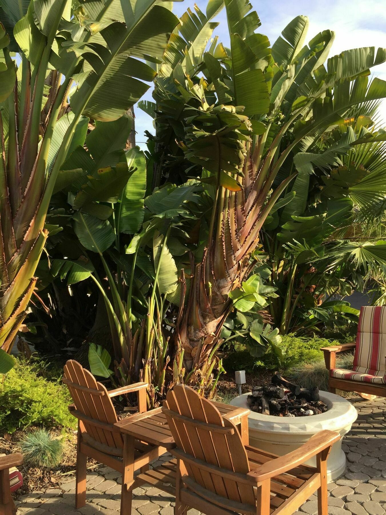 Beach Bungalow Inn And Suites Morro Bay Eksteriør billede